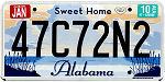 Texas-Auto-Title-Service-Number-Plate-1