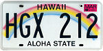 Texas-Auto-Title-Service-Number-Plate-11