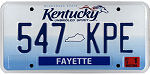 Texas-Auto-Title-Service-Number-Plate-17