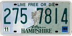 Texas-Auto-Title-Service-Number-Plate-29