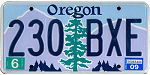 Texas-Auto-Title-Service-Number-Plate-37