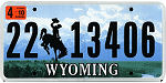Texas-Auto-Title-Service-Number-Plate-50